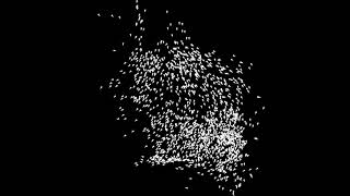 3 Minutes of Boids! Made with with Python using Pygame