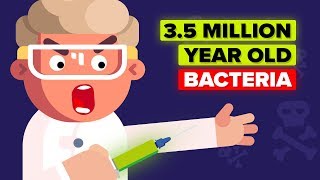 Why Would a Scientist Inject Himself with 3.5 Million Year Old Bacteria