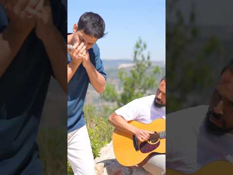 טעימה של בלוז מפוחית 