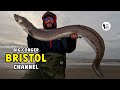 Ref:1EFbAVMoEZg Big fish, massive conger eel, wayne hand, bristol channel 4k