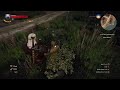 The witcher 3