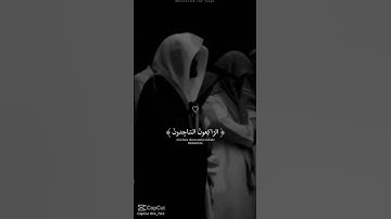 احترم القران الكريم ولو دقيقه  #تلاوة_خاشعة #اكسبلور #المصحف