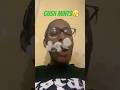 #za #1g #2g #3g #sativa #vape #gas #review #smoke #disposable #fyp #viral #shorts #trending #funny