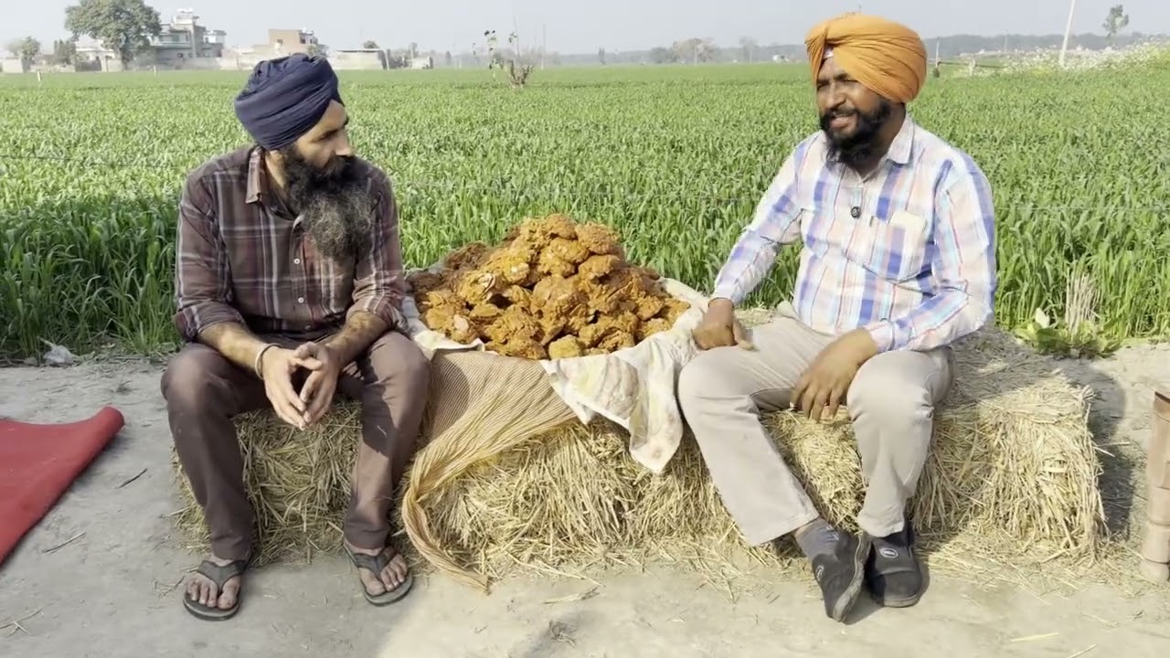 ਗੁਰਸਿੱਖ ਪਰਿਵਾਰ ਬਣਾਉਂਦਾ ਦੇਸੀ ਗੁੜ | Viral Jaggery Farm Makhu | Pinda Vale Rider