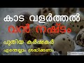 കാട വളർത്തൽ വൻ നഷ്ടം # kada valarthal nashttam #quail farming losses # challengers inquail farming