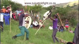 Stick Fight - Zulu Traditional Wedding at Mkomazi (Nhlazuko) - 31/10/2021 - 1st half Version
