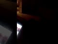 اغنية كلشي خرطي