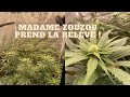 Jdb93 madame zouzou assure le maintien du systme 