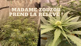 JDB#93: Madame Zouzou Ensures System Maintenance!