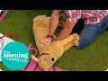 Would You Know What to Do if Your Dog Collapsed? | This Morning