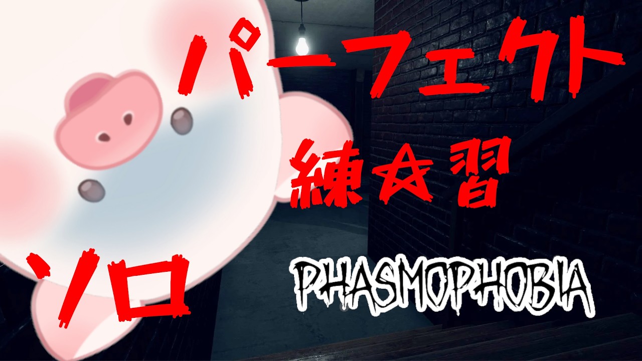 【Phasmophobia / PS5】レベルⅡｰ60☆パーフェクトとりたいけどとれない【ランドーク】