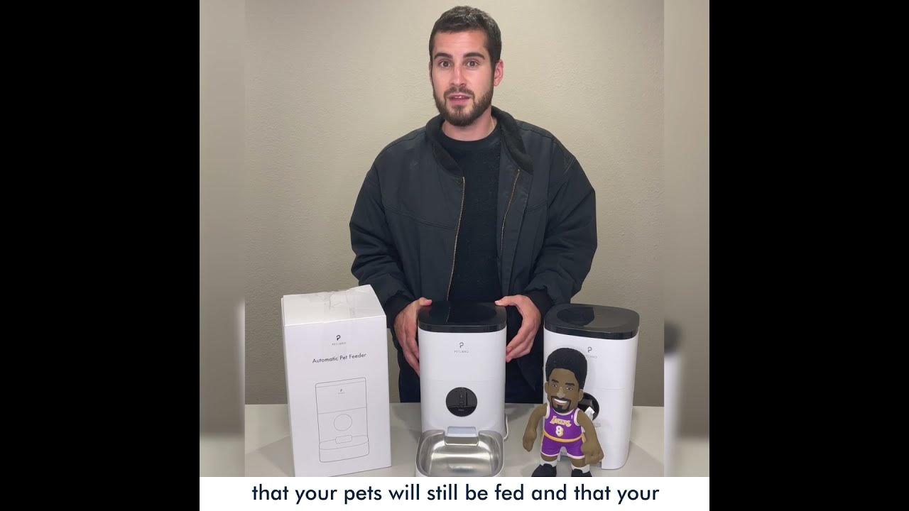 PETLIBRO Essential Automatic Feeder How to Set Up YouTube