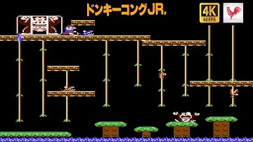 Donkey Kong Jr. | FDS Playthrough | RadRedRooster