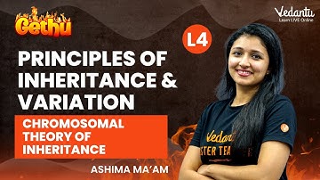Principles of Inheritance & Variation Class 12 | Chromosomal Theory of Inheritance | Vedantu Master