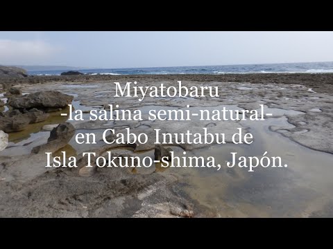 Miyatobaru -la salina semi-natural-