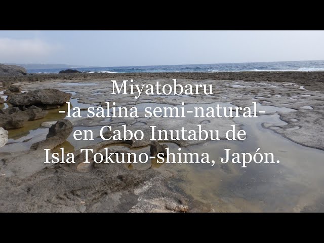 Miyatobaru -la salina semi-natural-