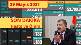 Bugünkü Vaka Sayısı 29 Mayıs Vaka Günlük Vaka Sayısı Korona Virüs Vaka Sayıları Tablosu