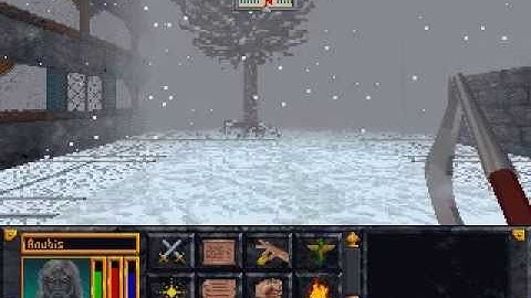 Arena Running Correctly On DOSBox