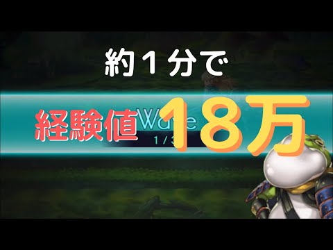 アナザーエデン レベル上げ