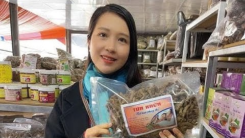 Sâm quy đá rừng cổ dài, sâm đương quy, nụ hoa đu đủ đực, bạc hà núi, chè sạch, lá sâm khô, ngọc cẩu