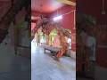 Jay Mata di #maa #shortvideo #shorts