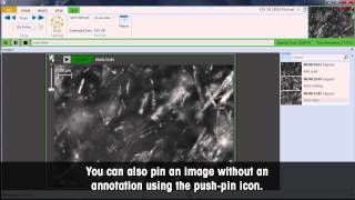 Celebrity Study Particle Size, Shape and Count in Real Time With iC PVM Software Wealth