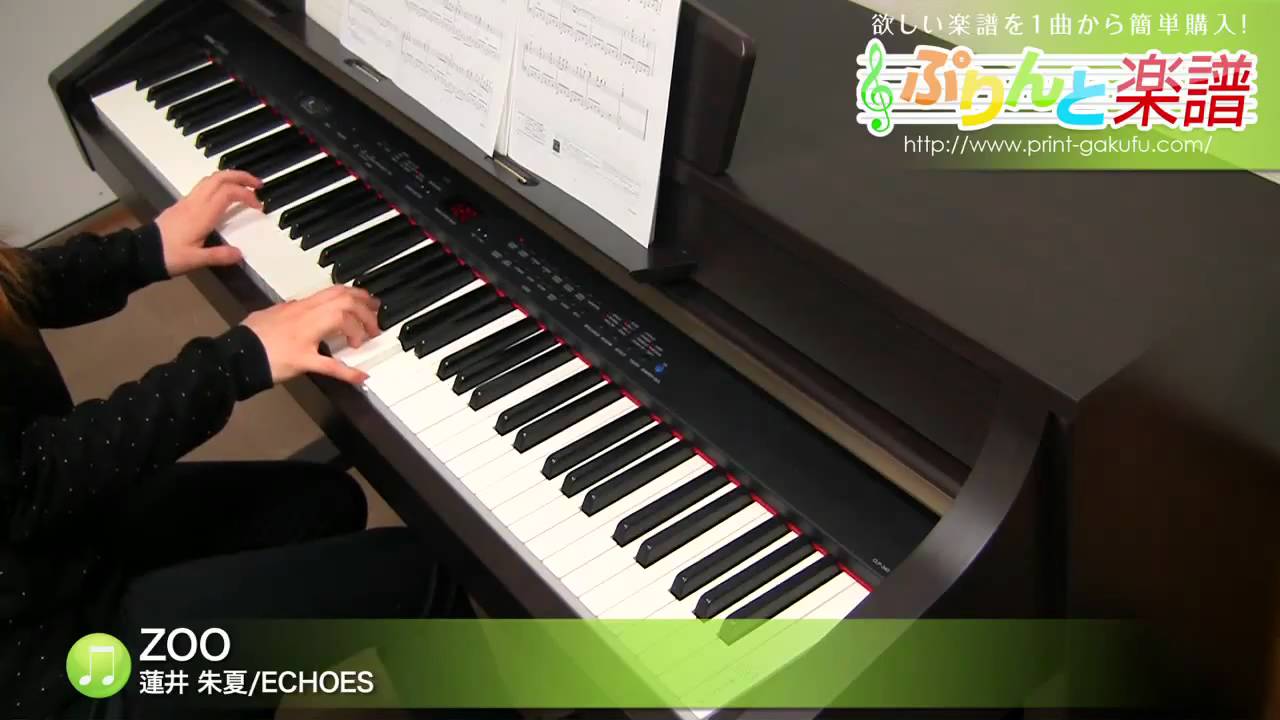 ZOO / 蓮井 朱夏/ECHOES : ピアノ(ソロ) / 初級 - YouTube