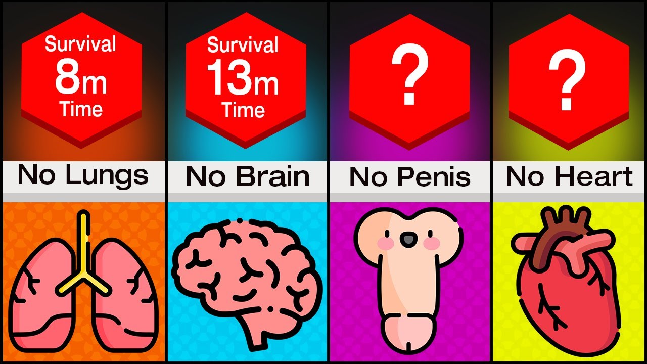 How Long Would You Survive? — Comparison