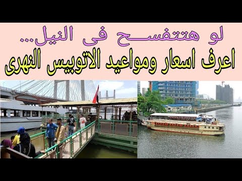 لو هتتفسح في النيل اعرف اسعار ومواعيد الاتوبيس النهرى بالقاهرة