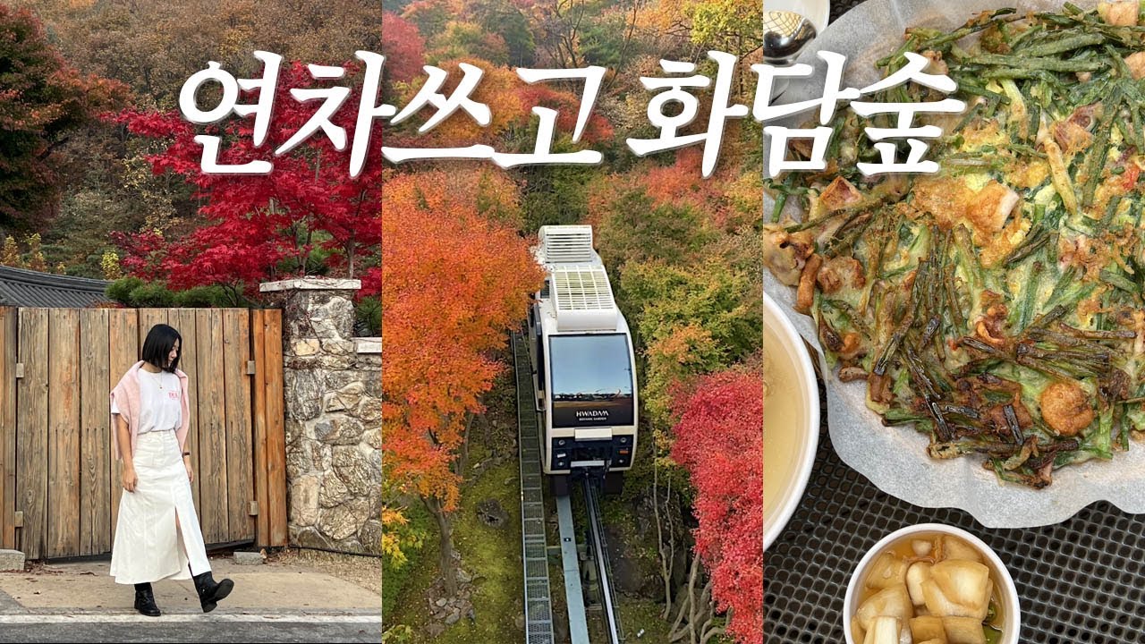 화담숲 취소표 줍줍해서 다녀온 단풍놀이🍁 해물파전 맛집