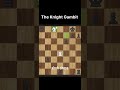 The Knight Gambit | #chess #knight #chesscom #brilliant #checkmate #chessshorts #lichess #chesstrap