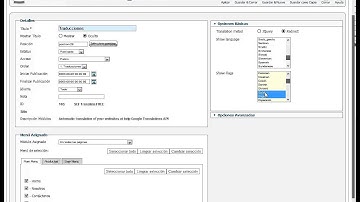 Modulo Traducciones SEF