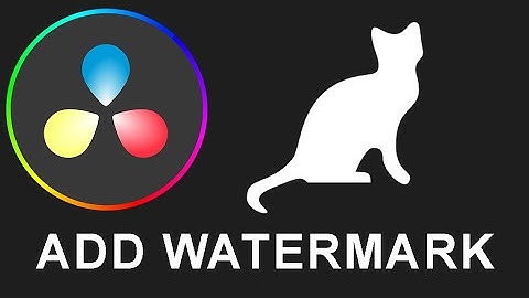 How To Add Watermark In DaVinci Resolve 18 (quick tutorial)