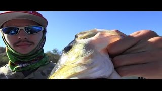 Bass Fishing Canyon Lake, AZ