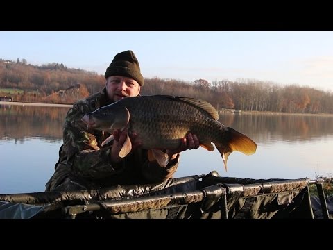 Pêche de la carpe en hiver avec Carpecanal