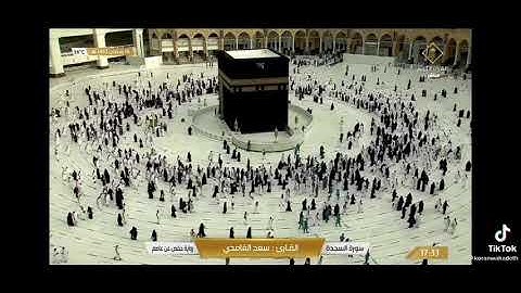 سورة السجدة - القارئ سعد الغامدي