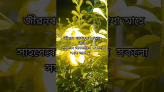 সাহসেৰে আগবাঢ়িলে সকলো সহজ লাগে. Assamese quotes #smartgirls @NehabBorah-z9s