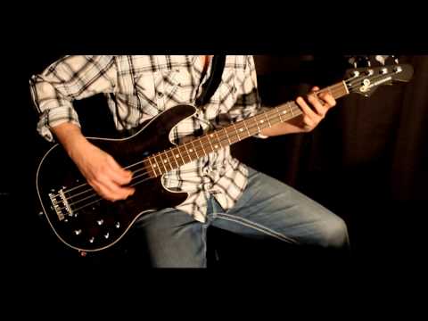18 and Life (Skid Row) - Bass Cover