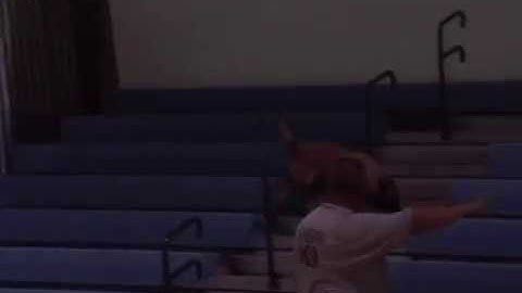 ScentLogix trained Explosive K9 finding Tripwire