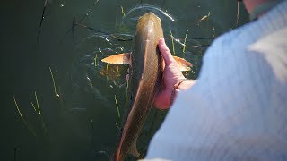 MY FIRST REDFISH ON THE FLY | Fly Fishing the Lowcountry