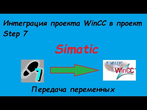 Wideo: Siedem Podstawowych Form Winy