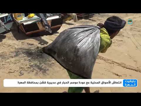 موسم الحبار في المهرة: أمل معيشي وتجديد للرزق