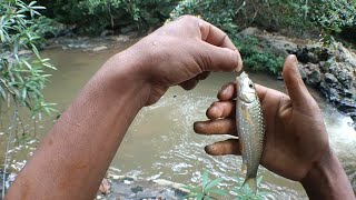 Download Lagu Mut rah kylliang jingbam kynrup ka doh bunsien bha ,por ba khwai kam dait, river fishing, 🎣. MP3 Download Lagu Mut rah kylliang jingbam kynrup ka doh bunsien bha ,por ba khwai kam dait, river fishing, 🎣. MP3