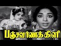 Pachavarna kili | R. Muthuraman, Jaishankar, K. R. Vijaya, Nagesh | Superhit Tamil Movie HD