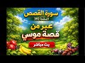 كل هذه فوائد وعبر من سورة القصص اية 51 بث ا مباشر ا