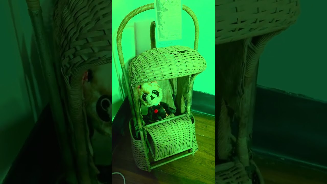Misfit Apparitions recorded live from 1899 Bolton St. House