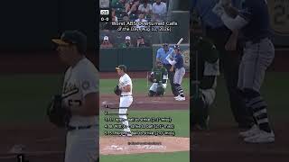 Highlights of the Day (August 10, 2026)