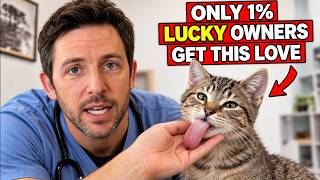 23 Rare Behaviors Cats Show ONLY When They Love You Deeply