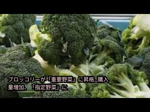 ブロッコリー「重要な野菜」に昇格…購入量増加、半世紀ぶり「指定野菜」に