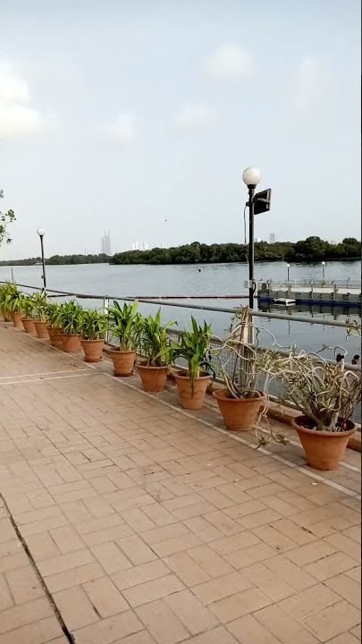 Beautiful weatherMusic: Somedayusician: Alexander DelargeURL: https://icons8.com/music